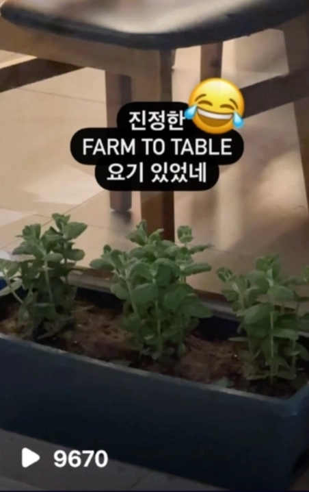BEFORE · 9,670 조회